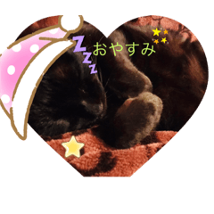 smile_20220303210246