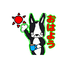 ボステリ好き♡