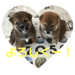 Himawari_20220304065612