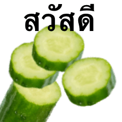 きゅうりです　キュウリ　野菜　タイ語