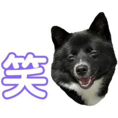 Arisa_20220303185322