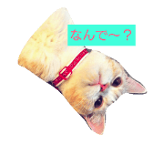 omotichan
