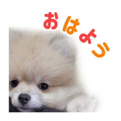 miki_20220303203110