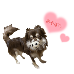 Miki_20220303235445