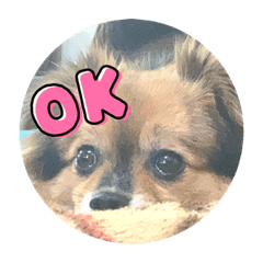 nanami_20220303211821