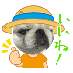yuto_20220303220115