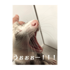 kazuki_20220303221555