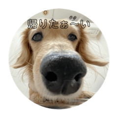 Cherry_20220303221441