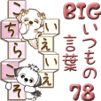 【Big】シーズー犬 78『いつもの言葉』