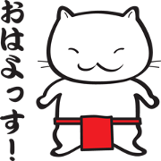 Red fundoshi cat