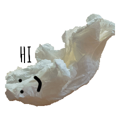 用過的衛生紙