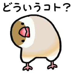 Cinnamon Mochi Bird 3