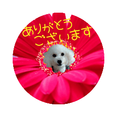 kii_20220304125830