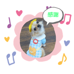 tomomi_20220304131317