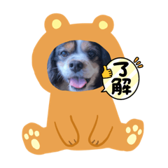 tomomi_20220304132213