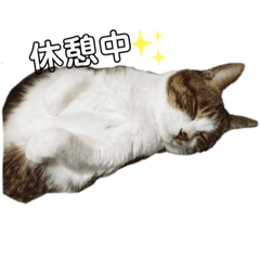 ayumi_20220304140338