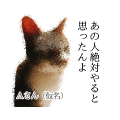 Awa dialect cat Mei-chan 3rd!