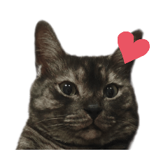 Charcoal and Oonging and friends