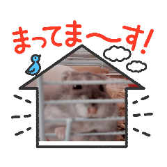 aoi_20220304160717