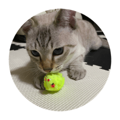 Ringo_20220304163259
