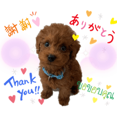 Natsumi_20220304151548