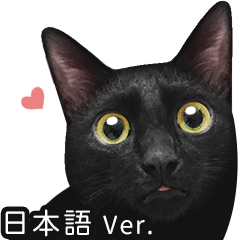 苦悩の黒猫（日本語Ver.）