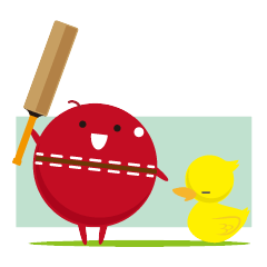 cricket ball 2