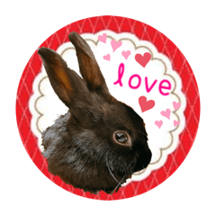 suzu_20220304185450