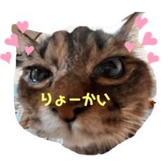 saori_20220304235409