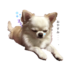 Akari_20220304181055