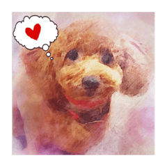 Oil painting toy poodle