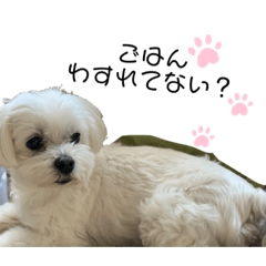Yuka_20220304164544