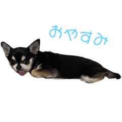 kchan_20220304203645
