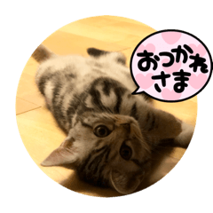 Hana_20220304203112