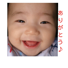 sho vol.1