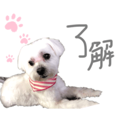 Yuka_20220304214045