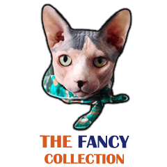 THE FANCY collection