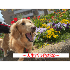 ace_20220305002932