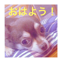 Peace&Peace