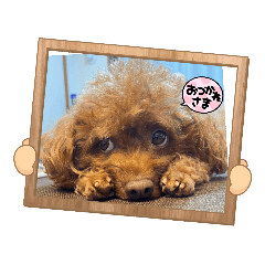 nozomi_20220304215658