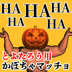 Toyotarou Pumpkin macho