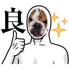 Kong_20220304221745