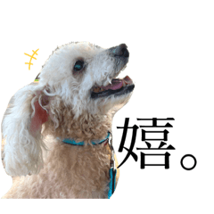 ayumi_20220304221536