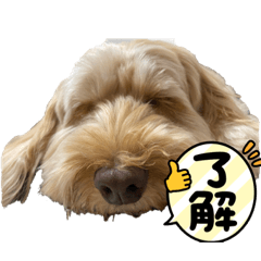 taekal_20220305120219