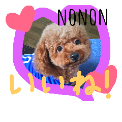 nonon 3