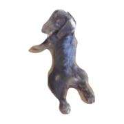 dog and dog! dog and dog!