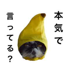 moconosuke
