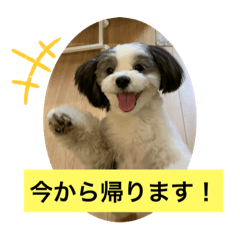 ayumi_20220305155408