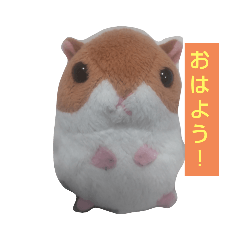 yuto_20220305073722