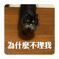 墨墨刷刷存在感